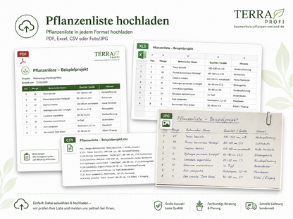 Pflanzenliste